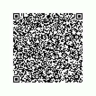 vCard 78153371387