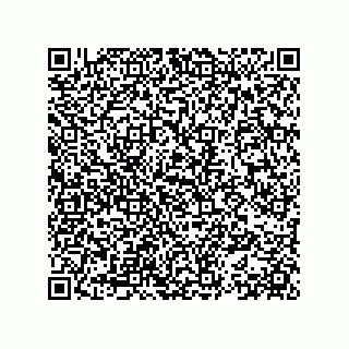 vCard 78153371389