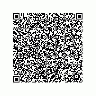 vCard 78153396131