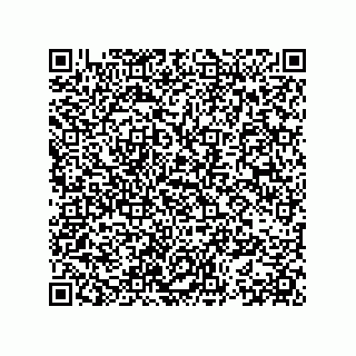 vCard 78153396224