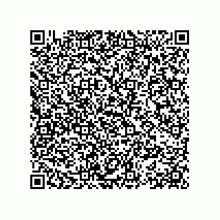 vCard 78153396289