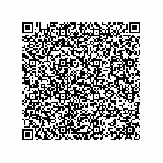 vCard 78153396295