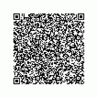 vCard 78153396300