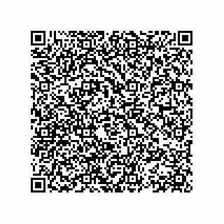 vCard 78153670100