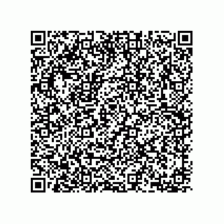 vCard 78153670133