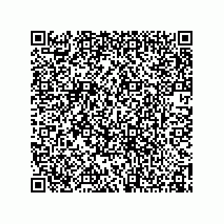 vCard 78153670385