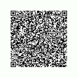vCard 78153837203