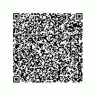 vCard 78153837291
