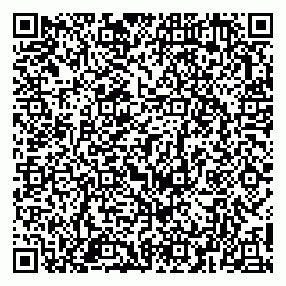 vCard 78153945009