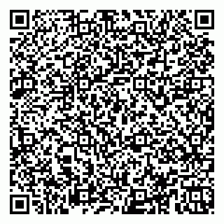 vCard 78153945029