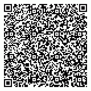 vCard 78153945041