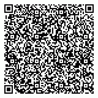 vCard 78153945100