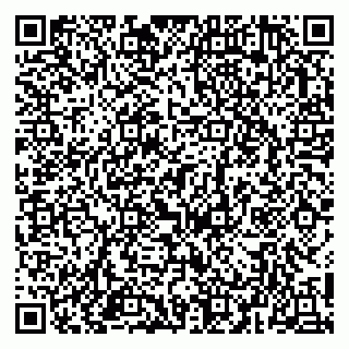vCard 78153945101