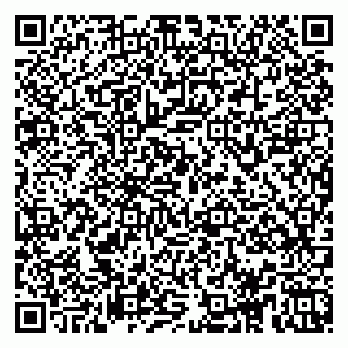 vCard 78153945105
