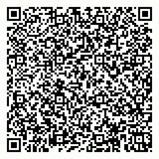 vCard 78153945110