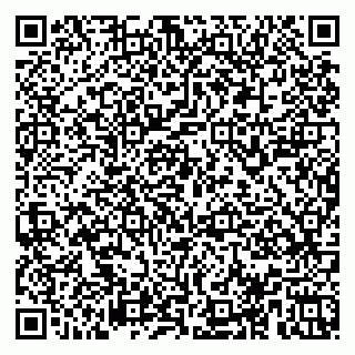 vCard 78153945131