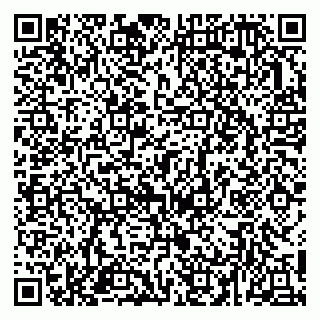 vCard 78153945138