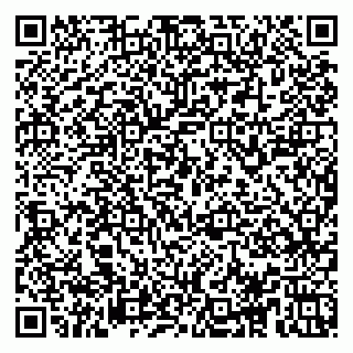vCard 78153945203