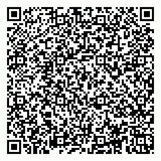 vCard 78153945207