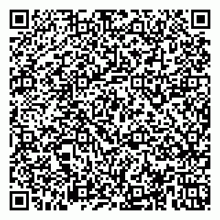 vCard 78153945233