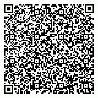 vCard 78153945241