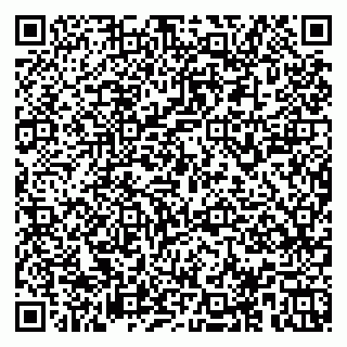 vCard 78153945278