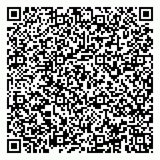 vCard 78153945287