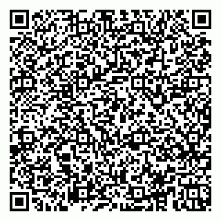 vCard 78153945289