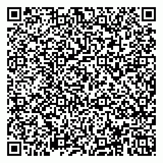 vCard 78153945295
