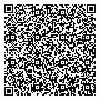 vCard 78153945300