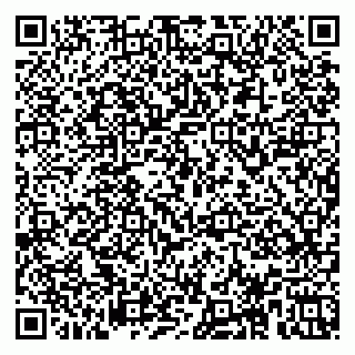 vCard 78153945311