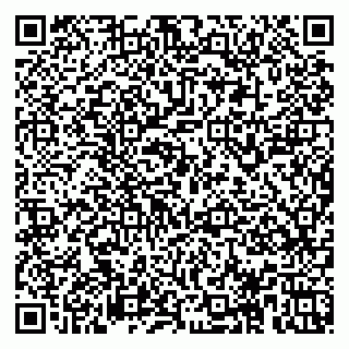 vCard 78153945313