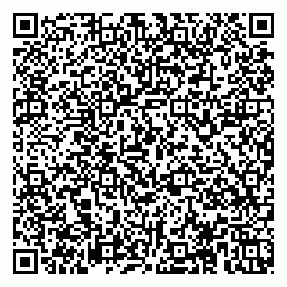 vCard 78153945317