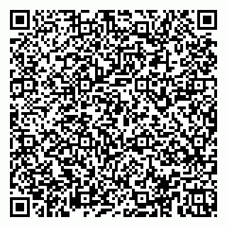 vCard 78153945329