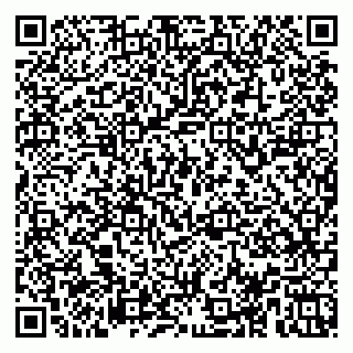 vCard 78153945330