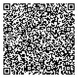 vCard 78153945333