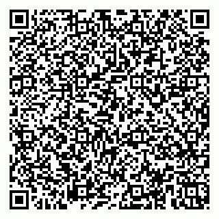vCard 78153945334