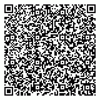 vCard 78153945339