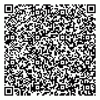 vCard 78153945343