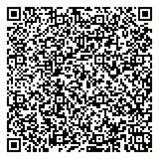 vCard 78153945363