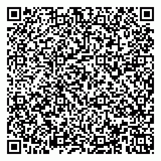 vCard 78153945374