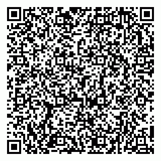 vCard 78153945379