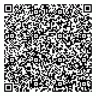 vCard 78153945381