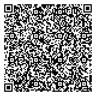 vCard 78153945384