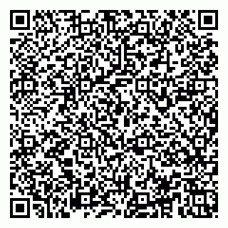 vCard 78153945386