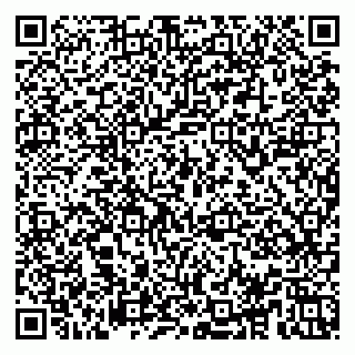 vCard 78153945387