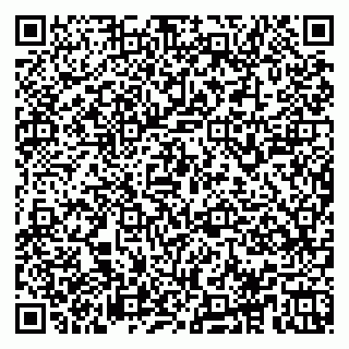 vCard 78153945389