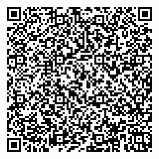 vCard 78153945395