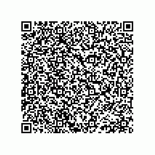 vCard 78155168714