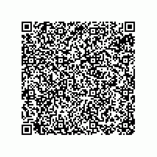 vCard 78155250011